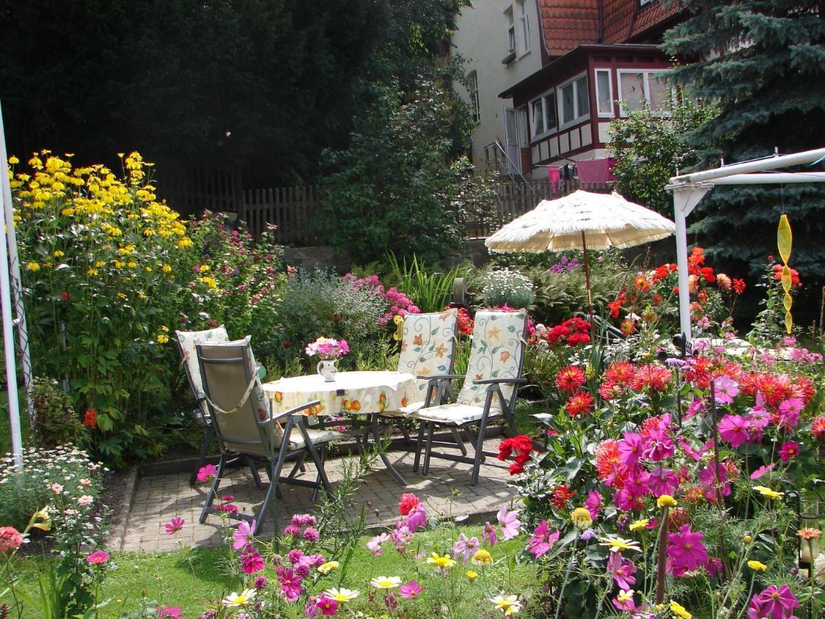 Apartamento Abendroete Wernigerode Exterior foto